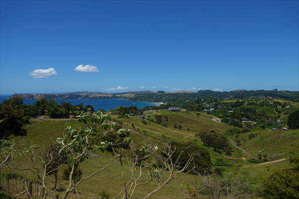 Tropical Waiheke