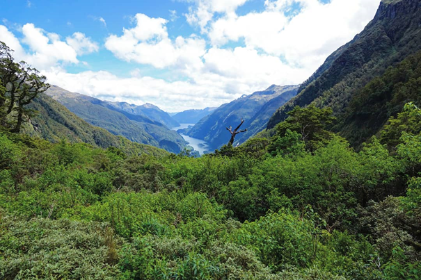 Doubtful Sound