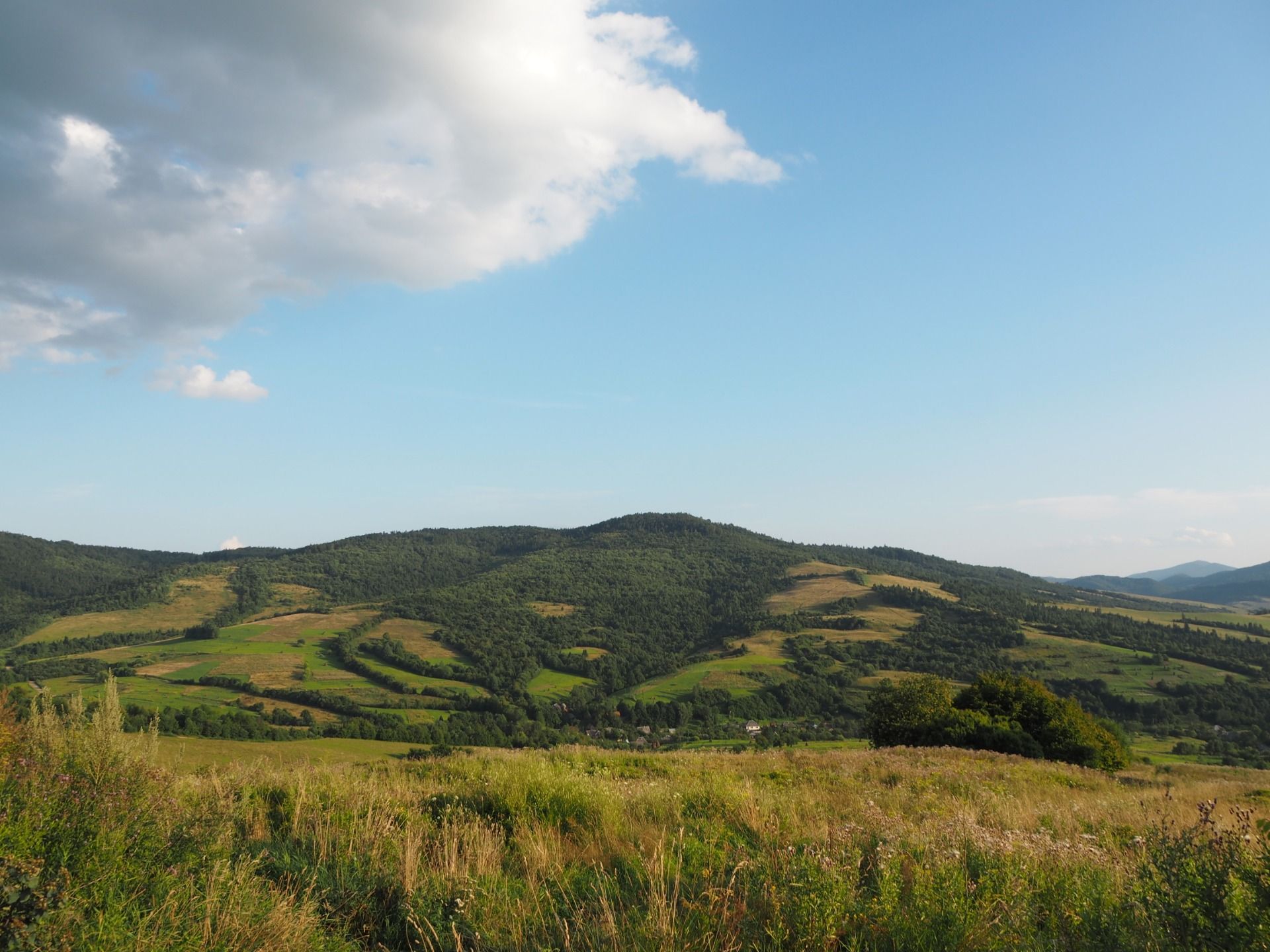 The beauty of the foothills
