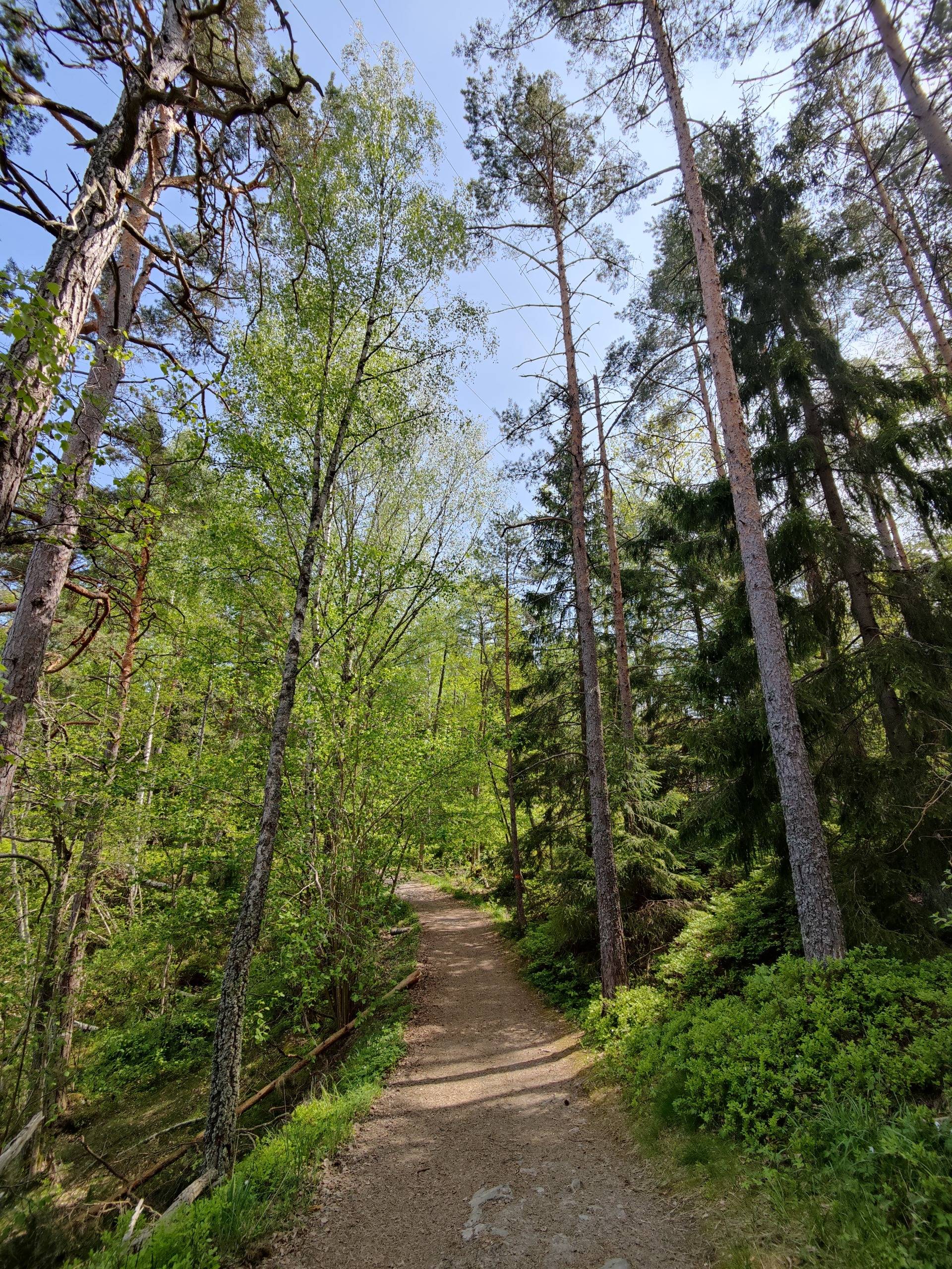 Tyresta National Park from Nyfors Entrance