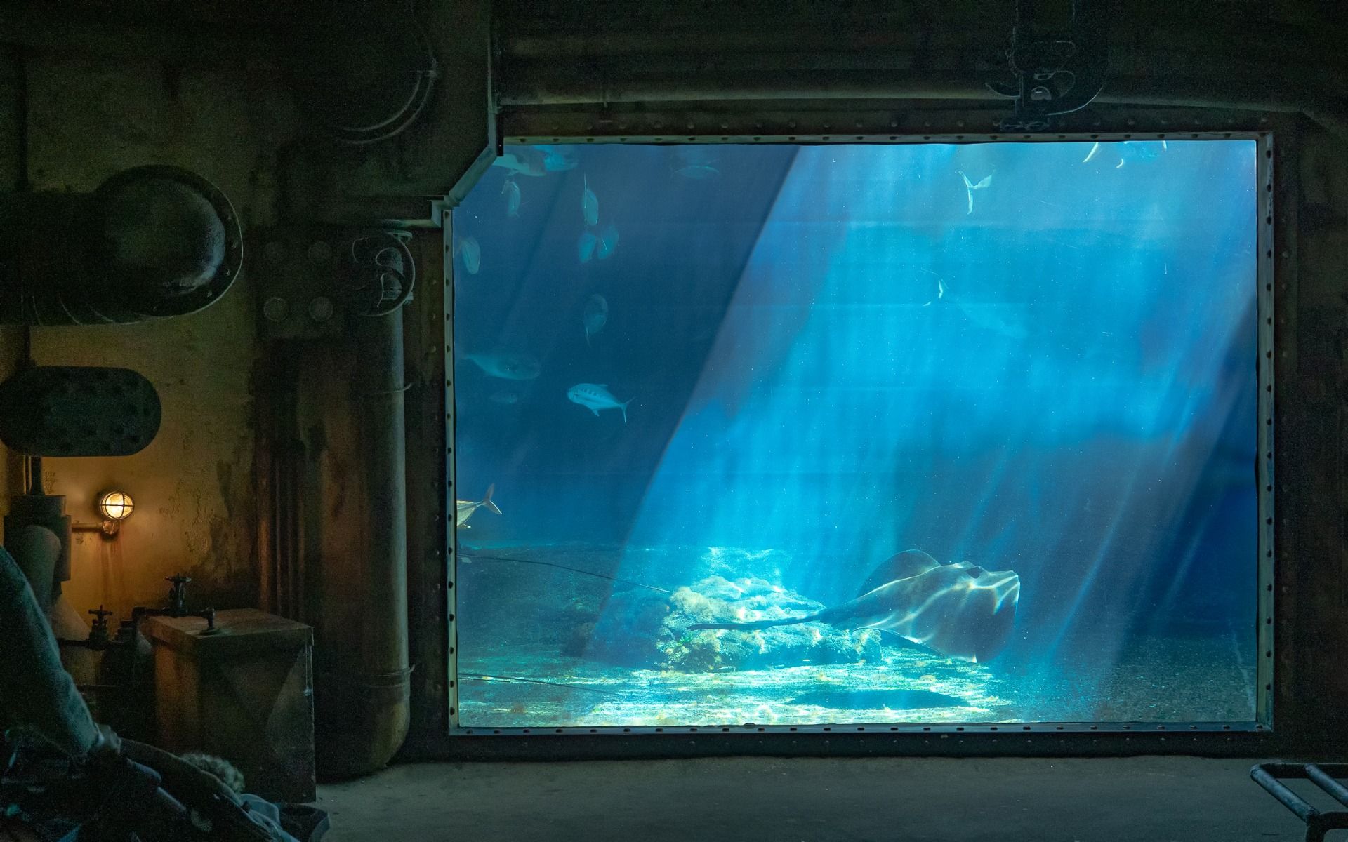 📷 uShaka Marine World