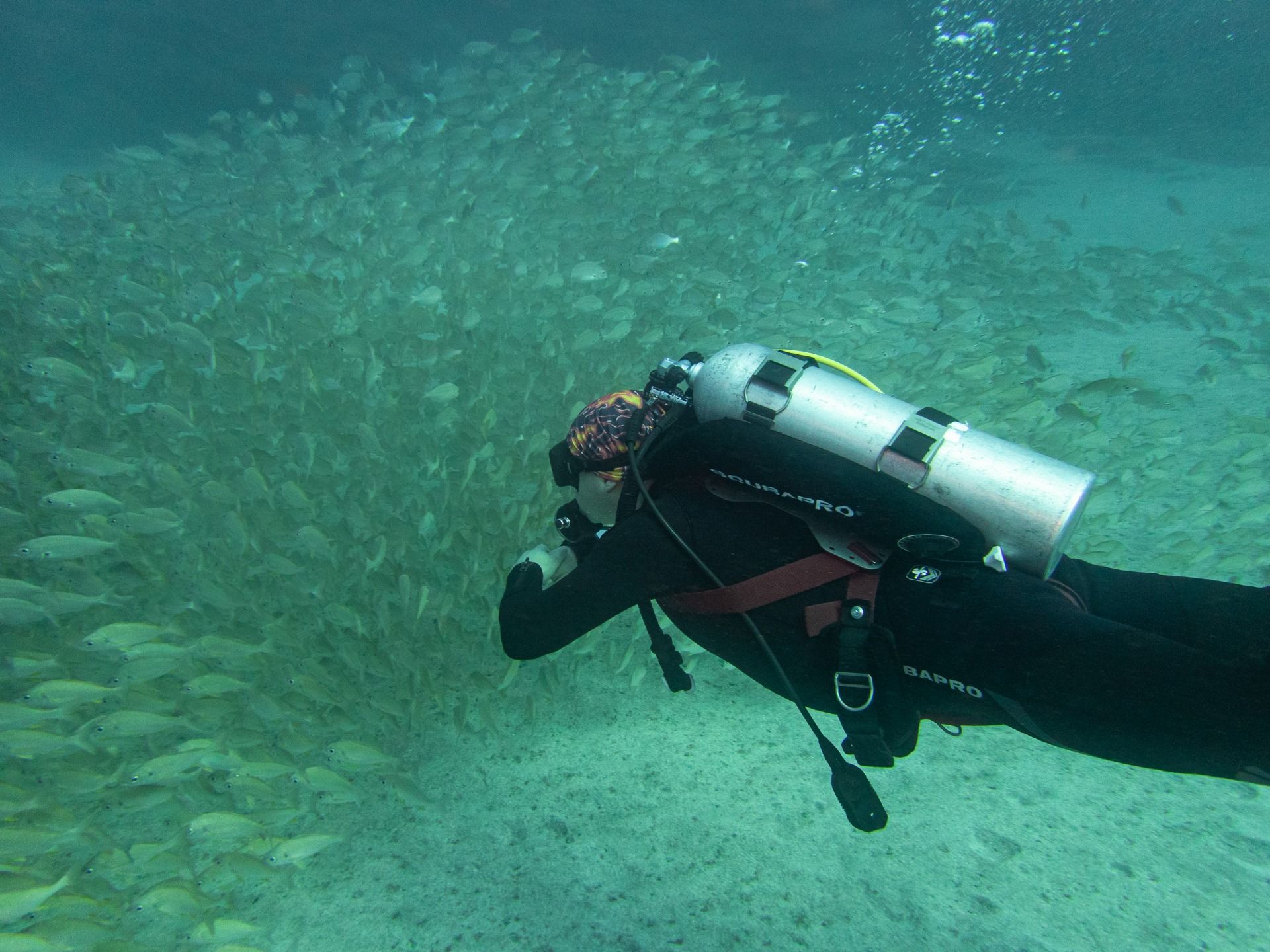 📷 Spain. Canary Islands. Tenerife: Part 2