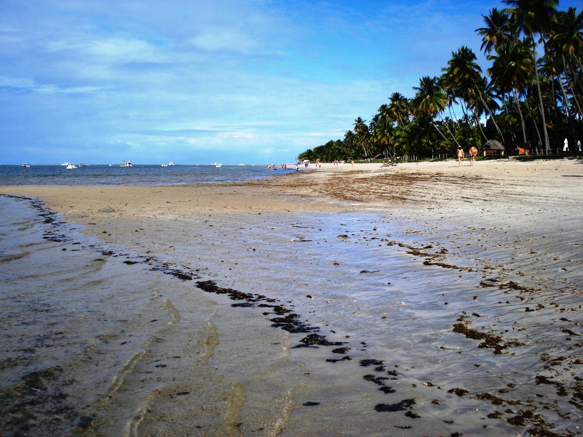 A walk through Praia dos Carneiros, Pernambuco – Brazil