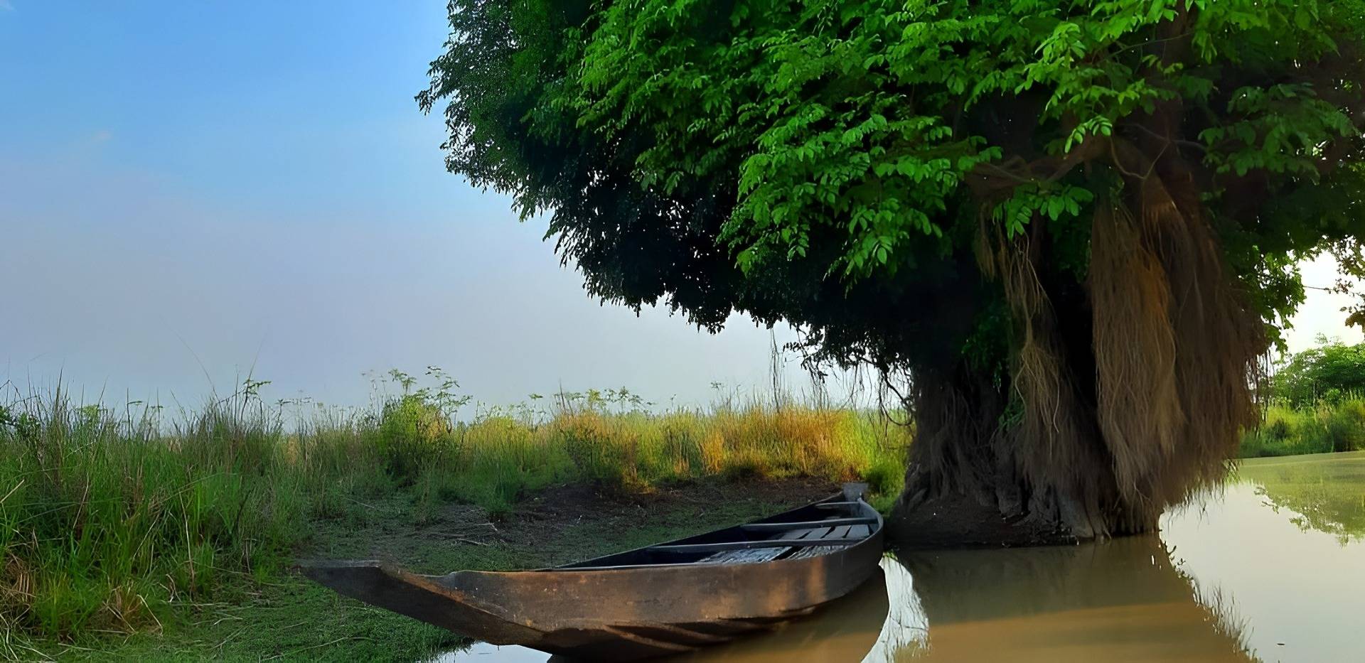 Adventurers in the wetlands of Ratargul, Sylhet. 