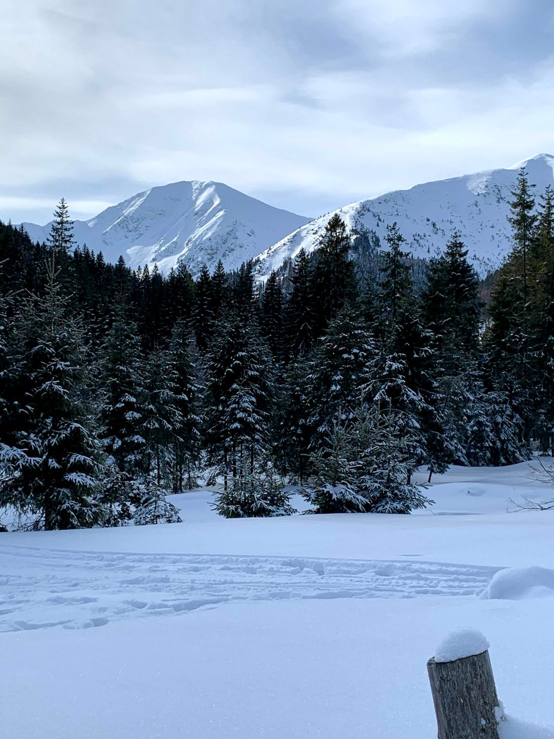 Chochołowska Valley, Poland