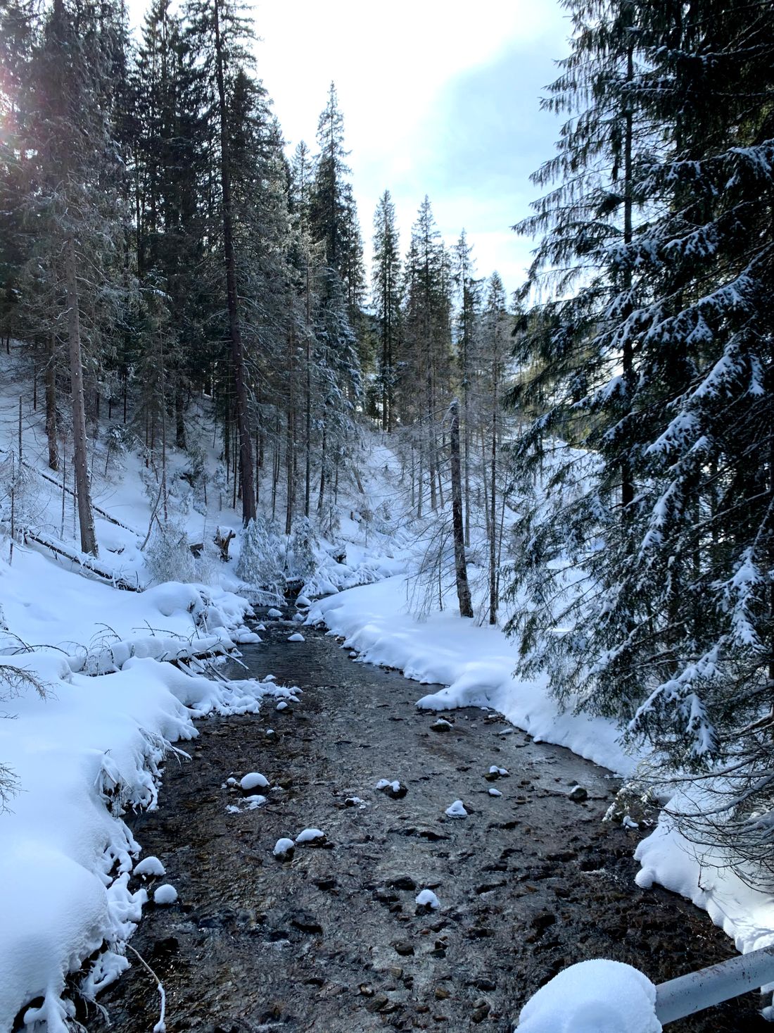 Chochołowska Valley, Poland