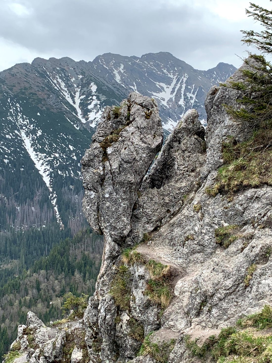 Gęsia Szyja, Tatry