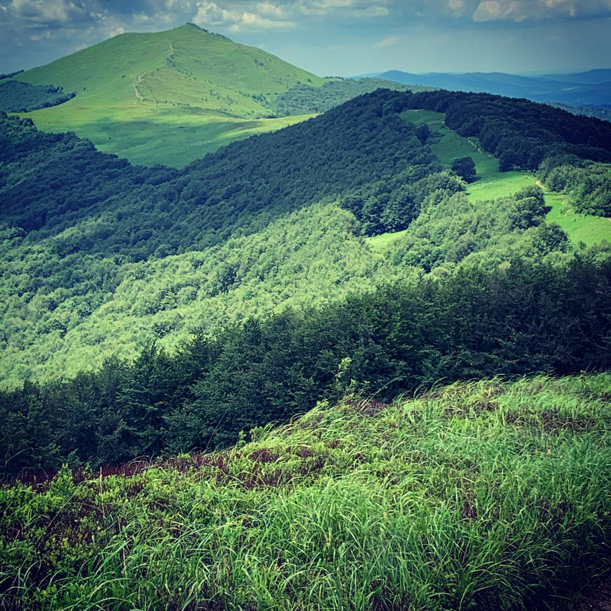 Połonina Wetlińska Bieszczady