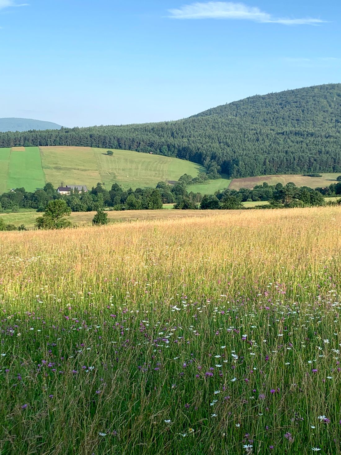 Kotań, Beskid Niski