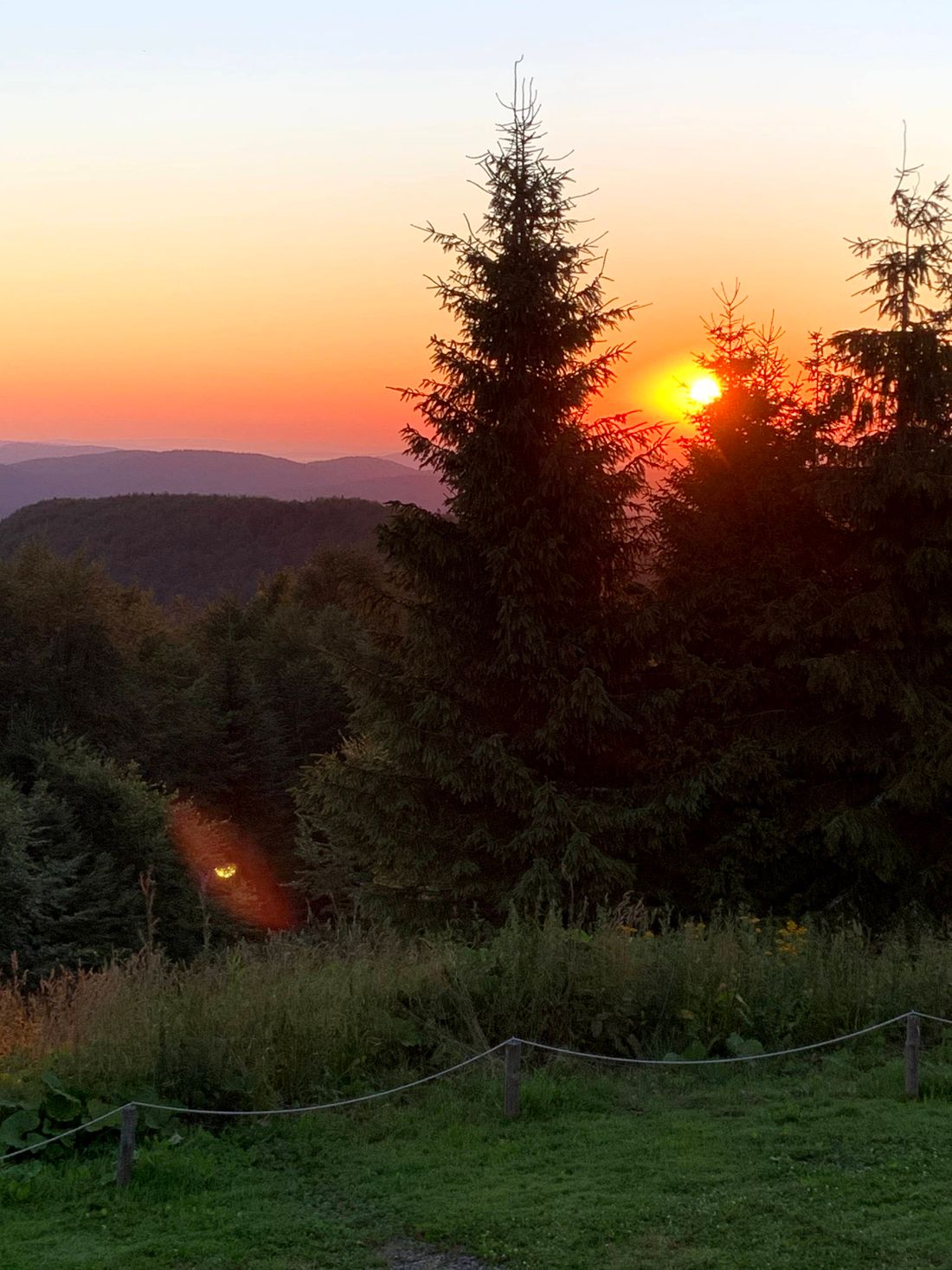 Hala Łabowska, Beskid Sądecki