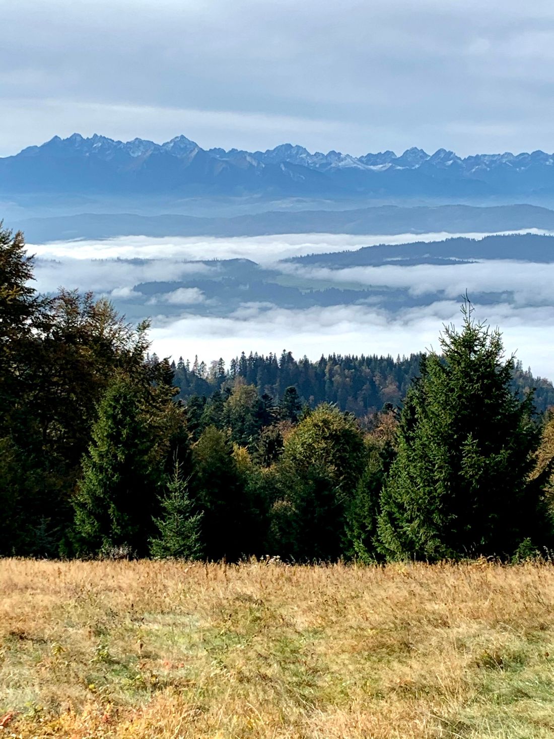 Studzionki, Gorce - widok na Tatry