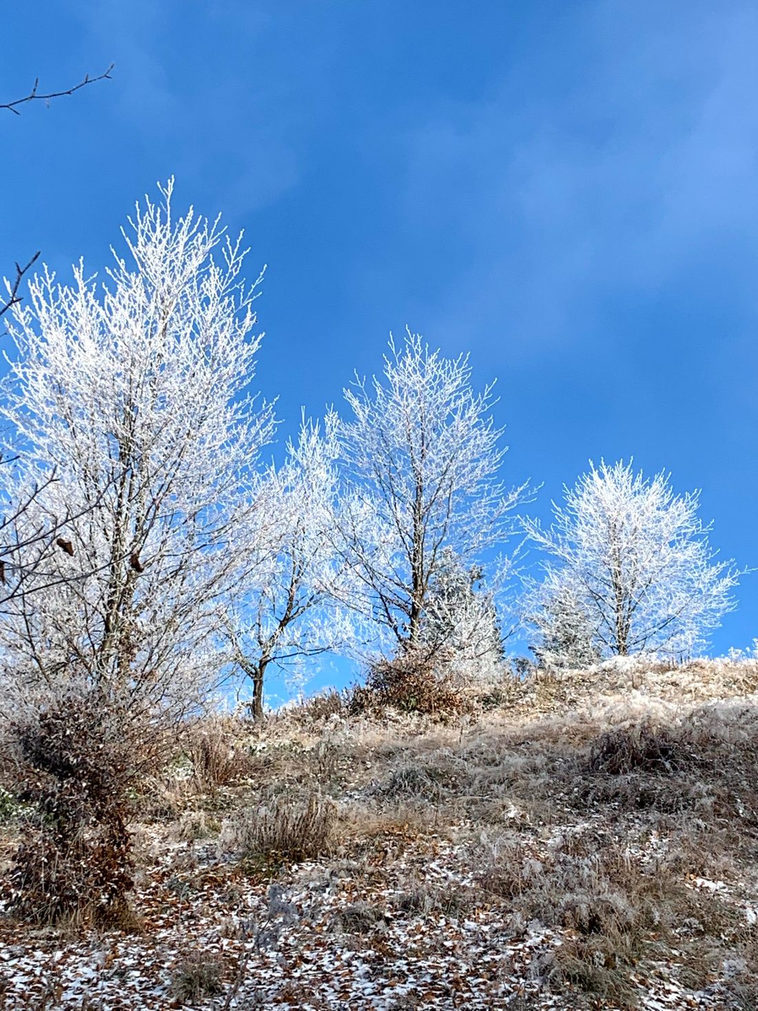 Mogielica, Beskid Wyspowy