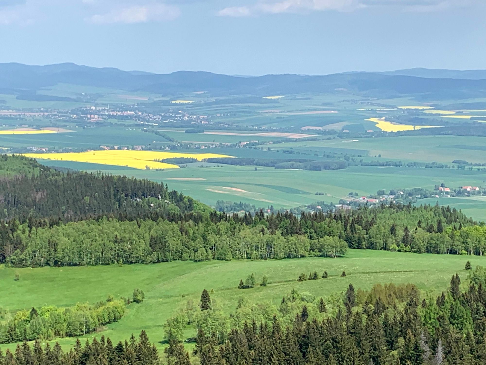 Widok z Szczelińca, kier. północ.