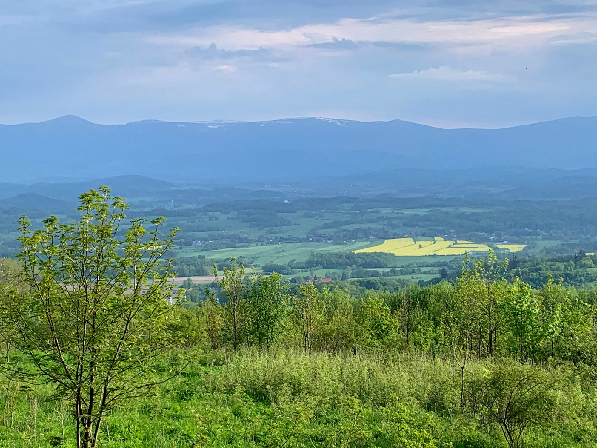 Karkonosze (Śnieżka po lewej) widziane spod Skopca