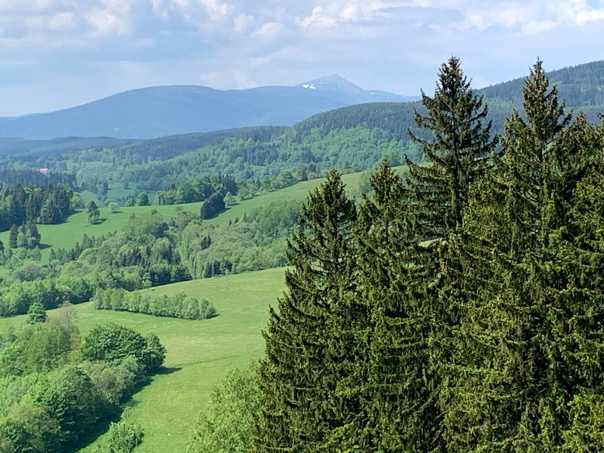 Widok na Śnieżkę