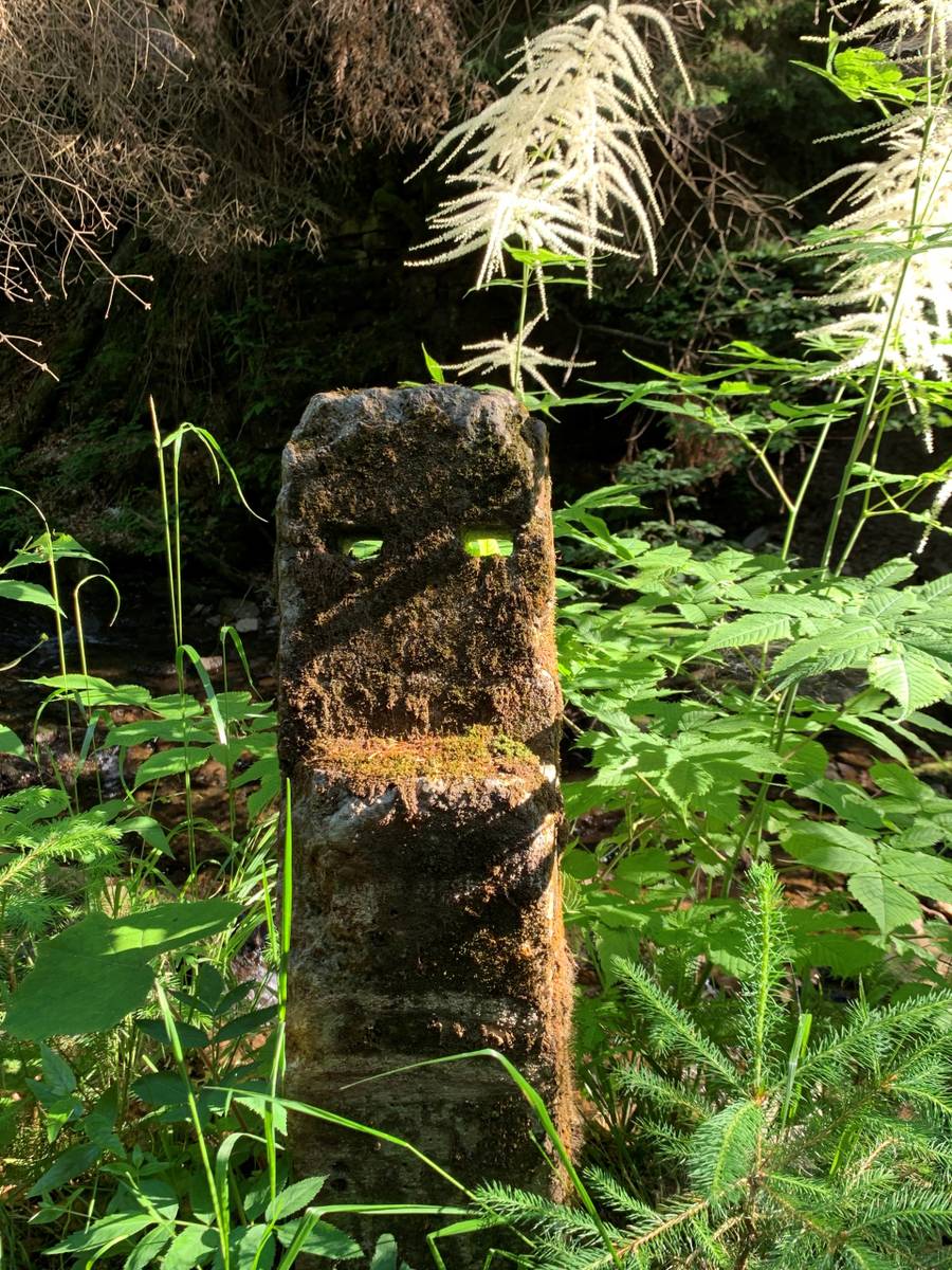 Początek Wisły - źródło Malinki. Leśna sztuka, suche źródło i... monumenty jak z Rapa Nui.