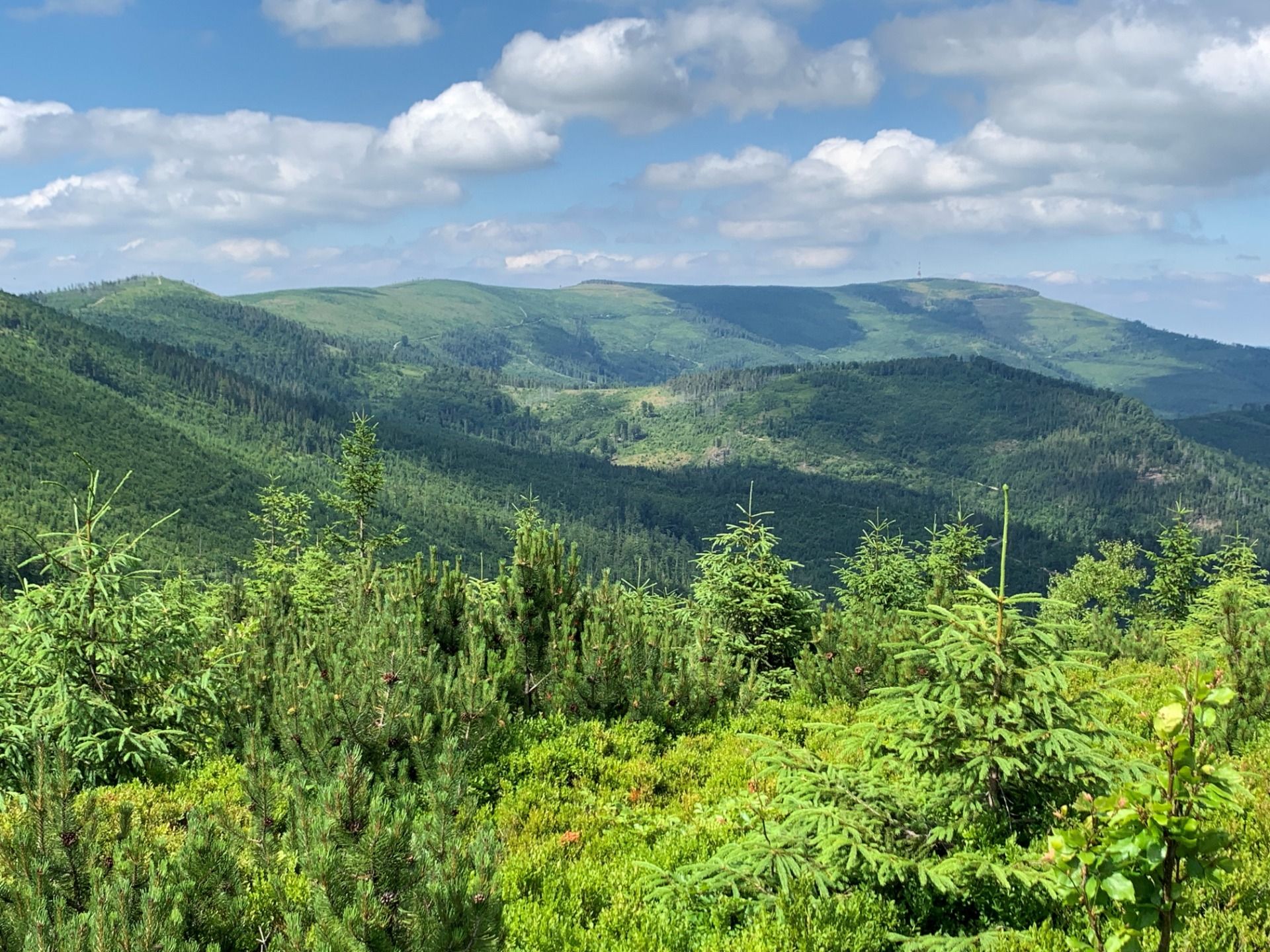 Pasmo Skrzycznego, widok z okolic szczytu Gawlusi