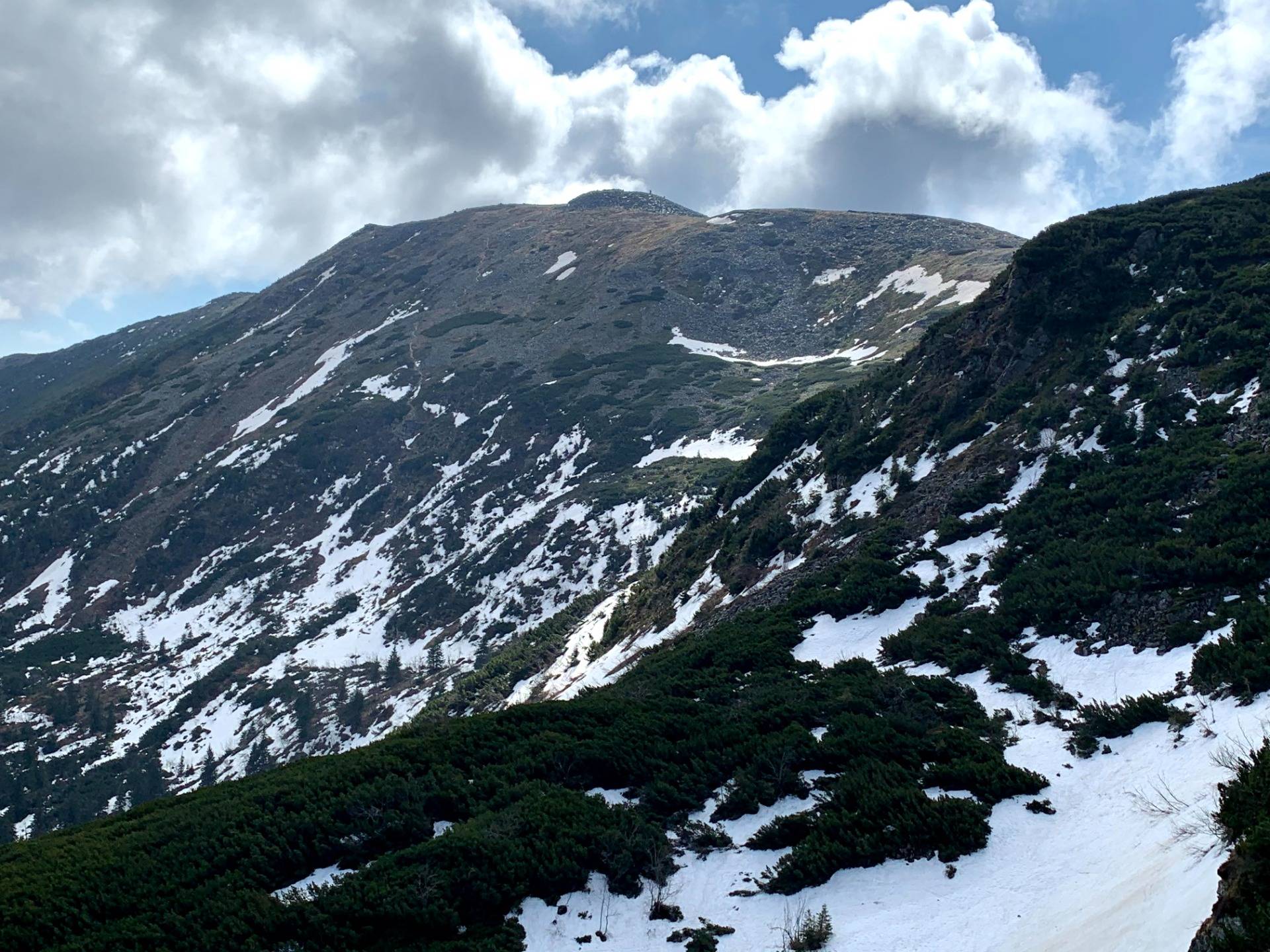 Babia Góra widziana z szlaku z przełęczy Brona
