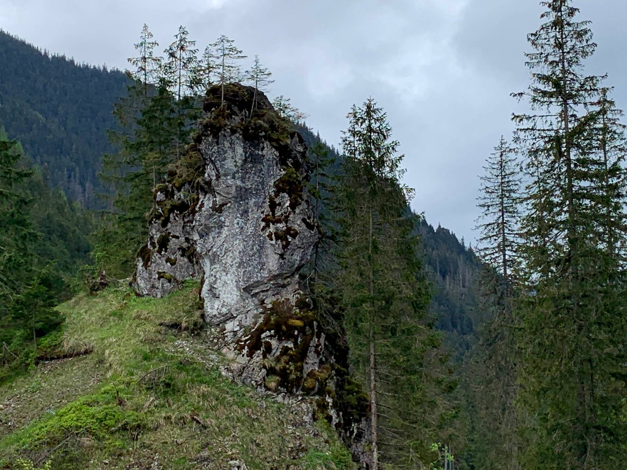 A rock in the Chochołowska Valley