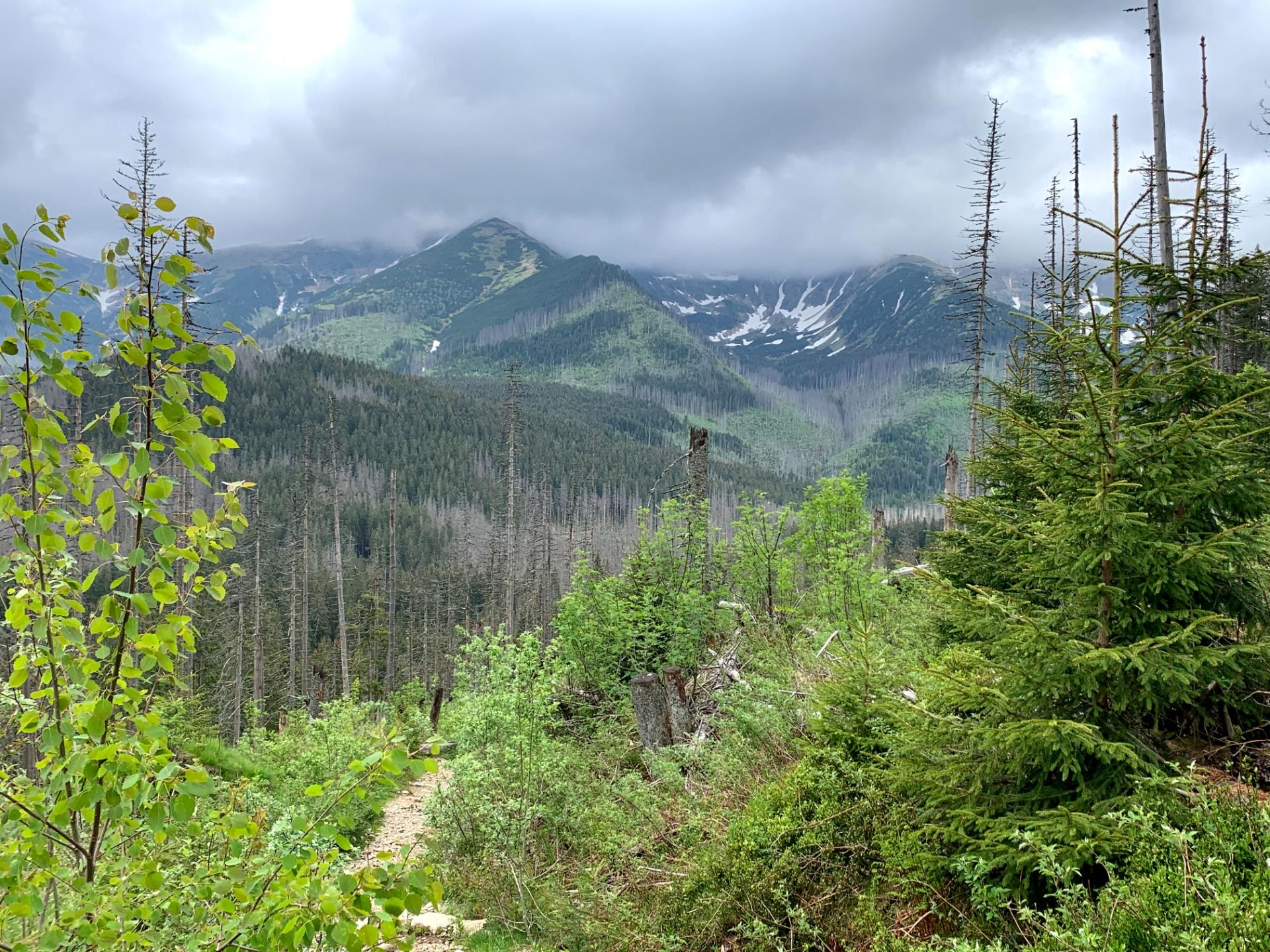 View when approaching Iwaniacka Pass.