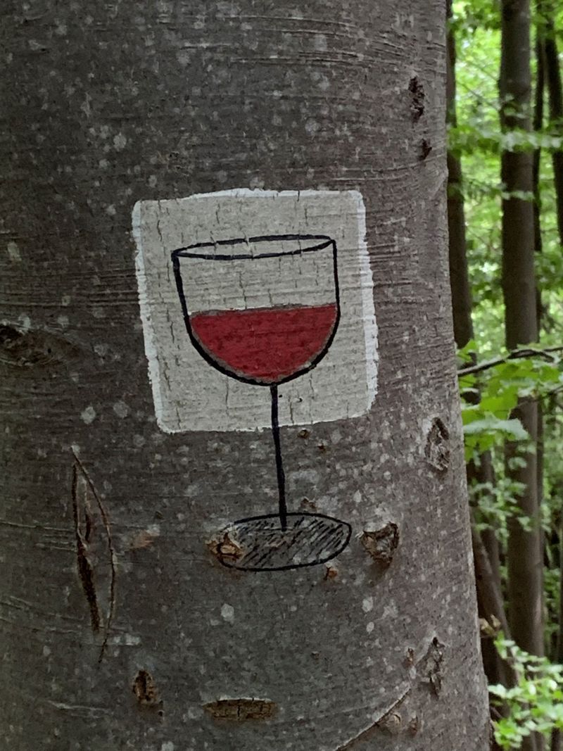 Krzemieniec i Wielka Rawka. Część I - Paportna, Trójstyk granic PL/SK/UA i... wino zamienione w wodę