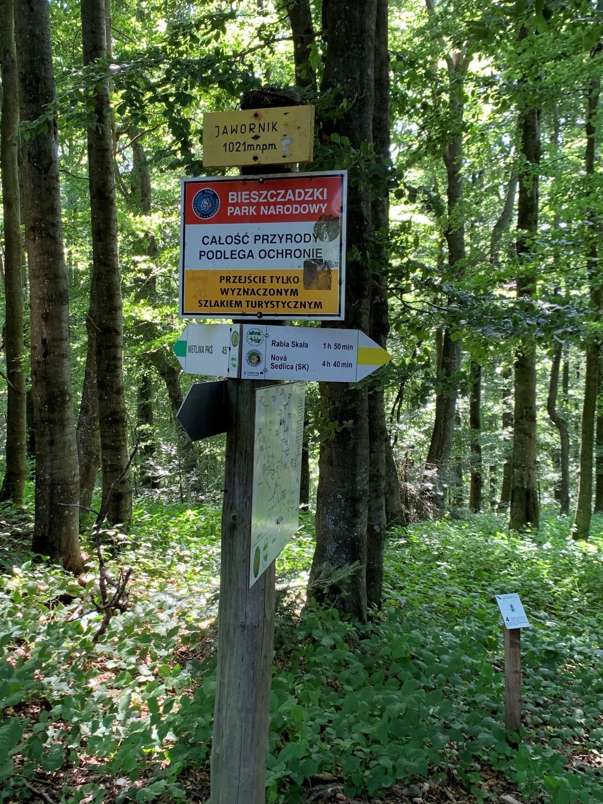 Jawornik, 1021m
