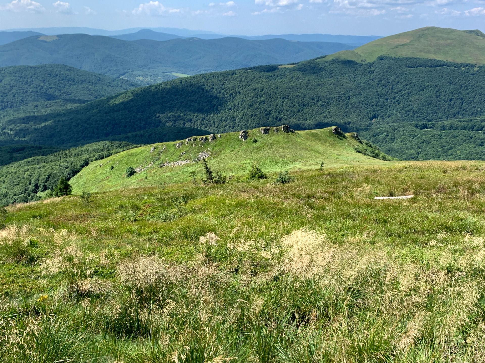 Widok z Halicza w kierunku południowym