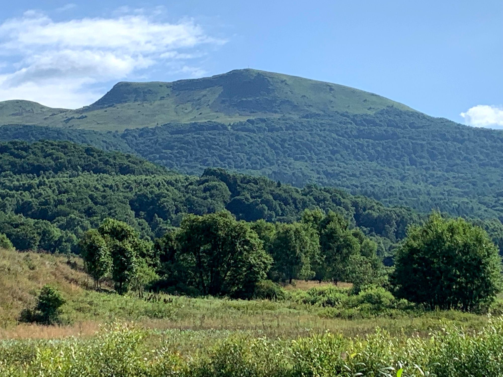 Tarnica, widok z Wołosatego