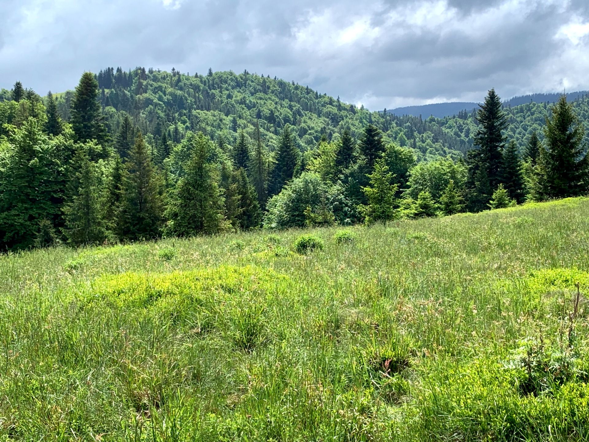 Gorce tylko dla nas (prawie). A lone (almost) hike in the Gorce mts. Vege the Polish way [PL/EN]
