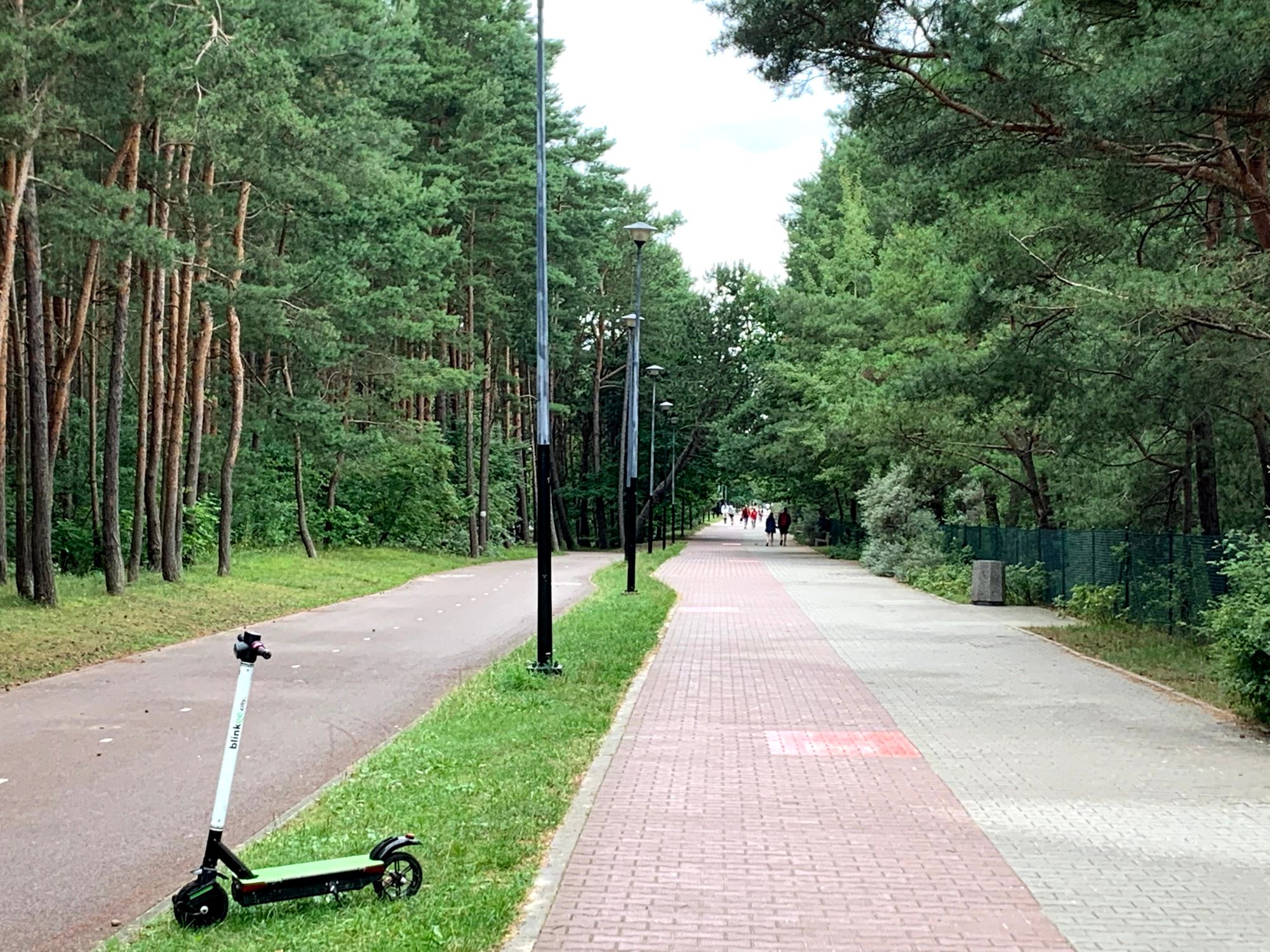 Ścieżka wzdłuż plaży w Trójmieście