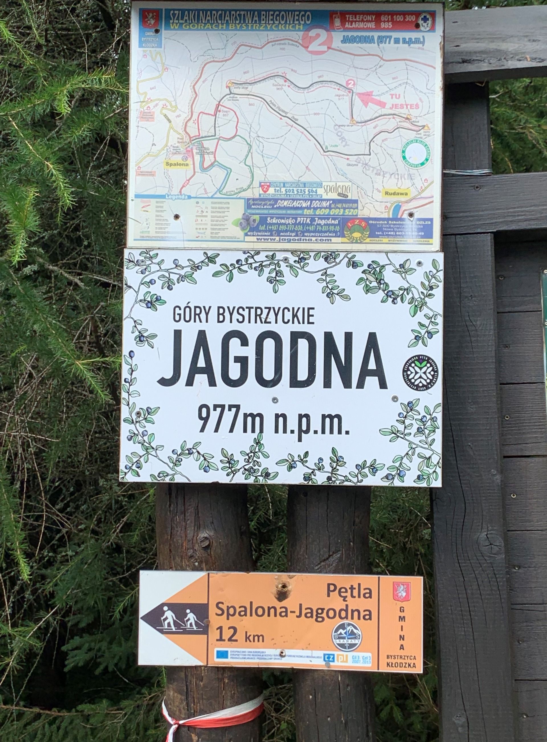 Jagodna, 977m. Szczyt dla ”turystów”