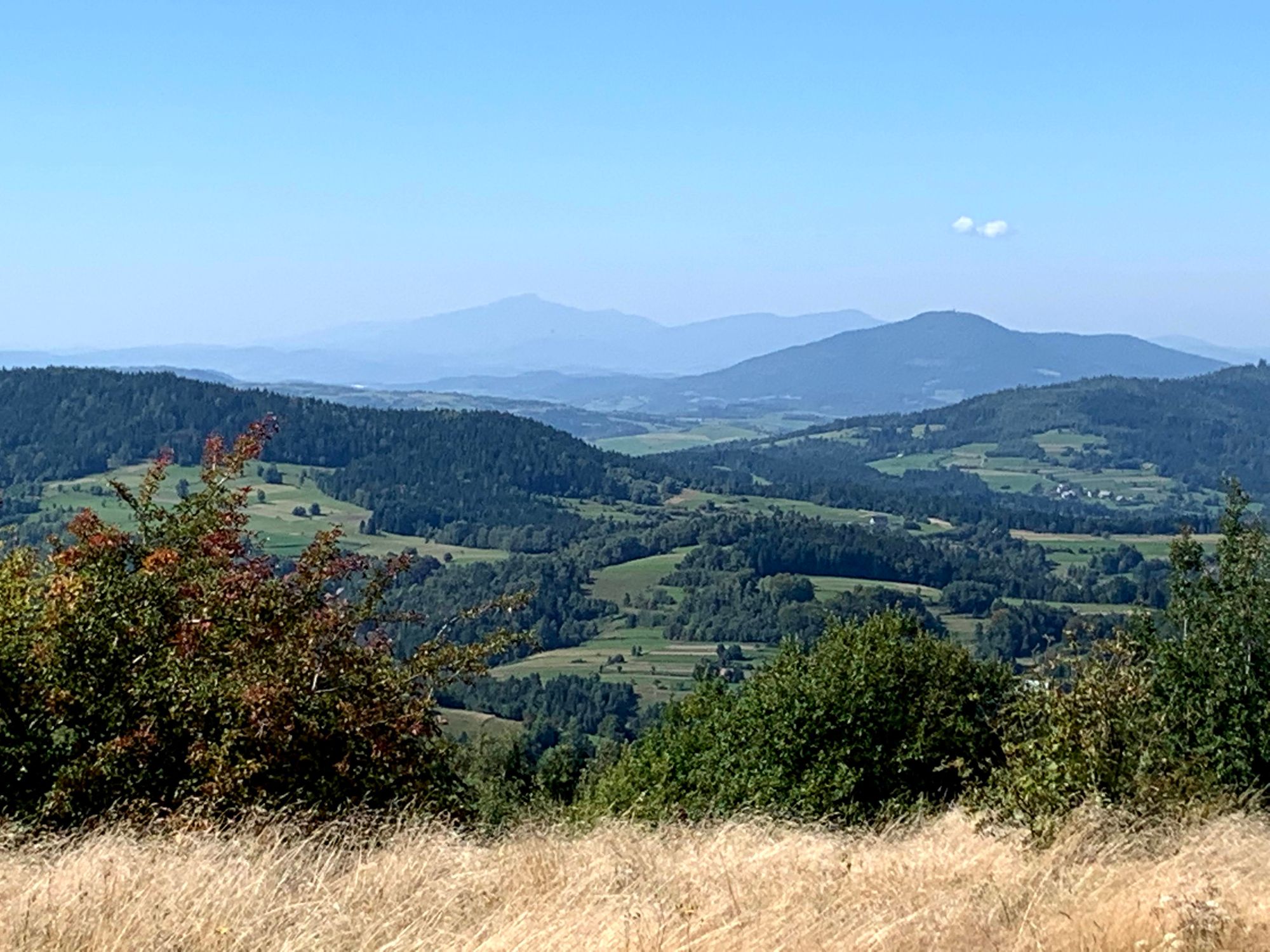 Widok z Polany Stumorgowej