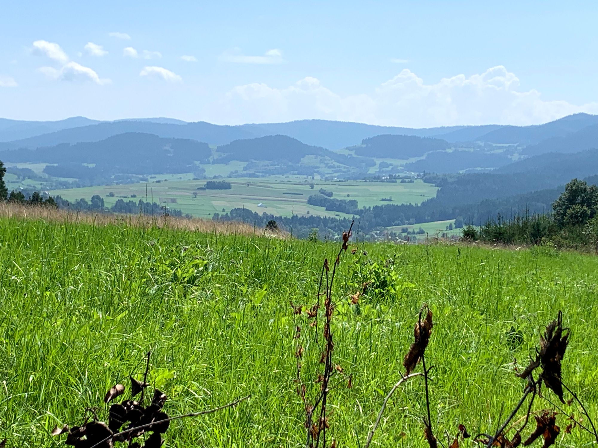 Widok w drodze na Luboń Wielki