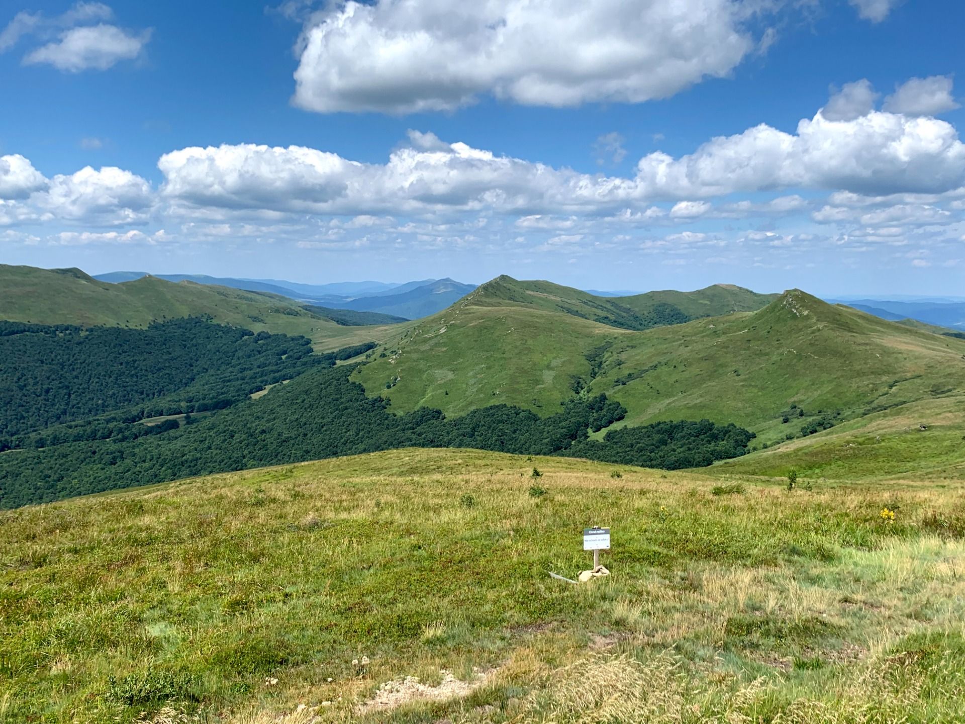 Widok z Halicza. Po lewej Tarnica, centralnie Krzemień, dalej Bukowe Berdo