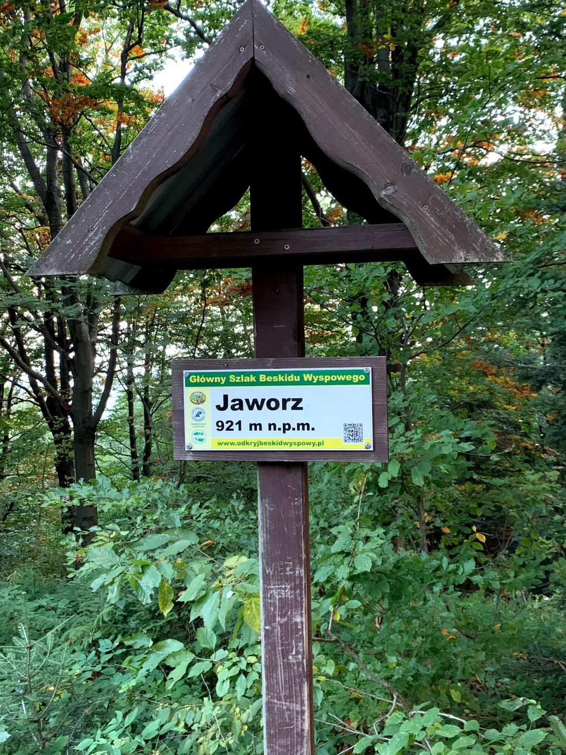 Jaworz, 921m.