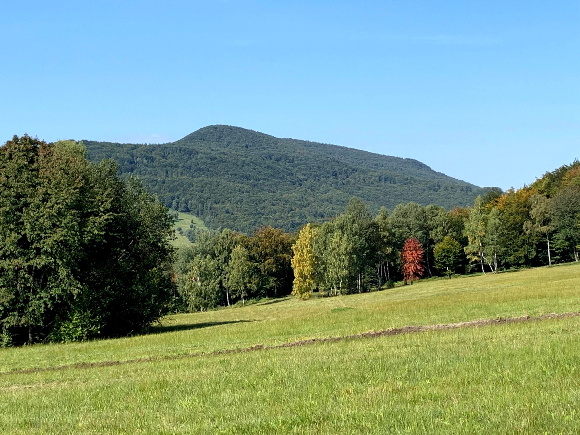 Lackowa, widok z Cigelki