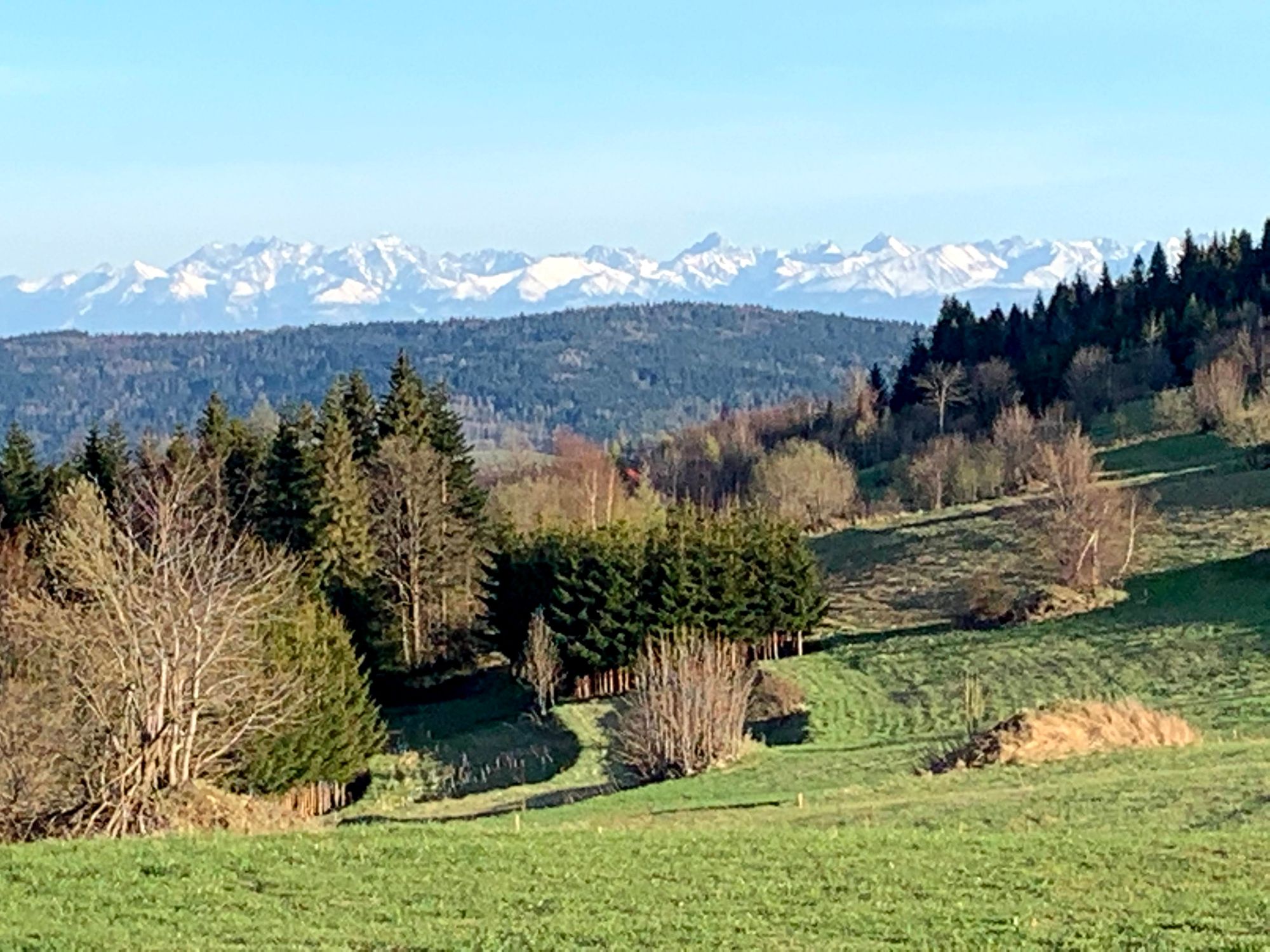 Widok z Koskowej Góry (maj 2021)