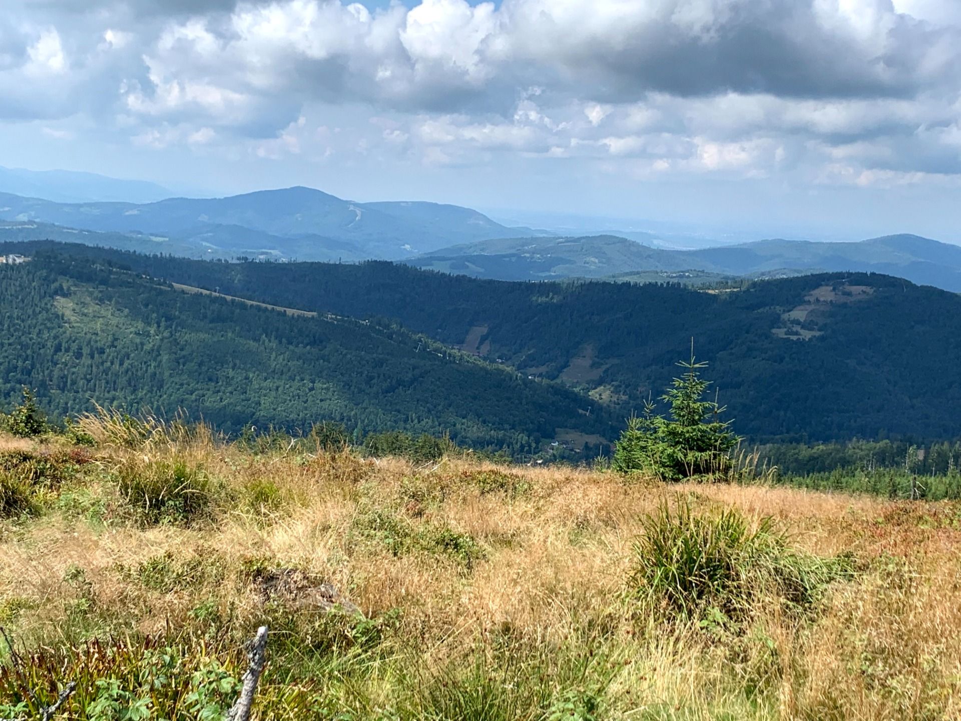 Widok z pasma grzbietowego Skrzycznego