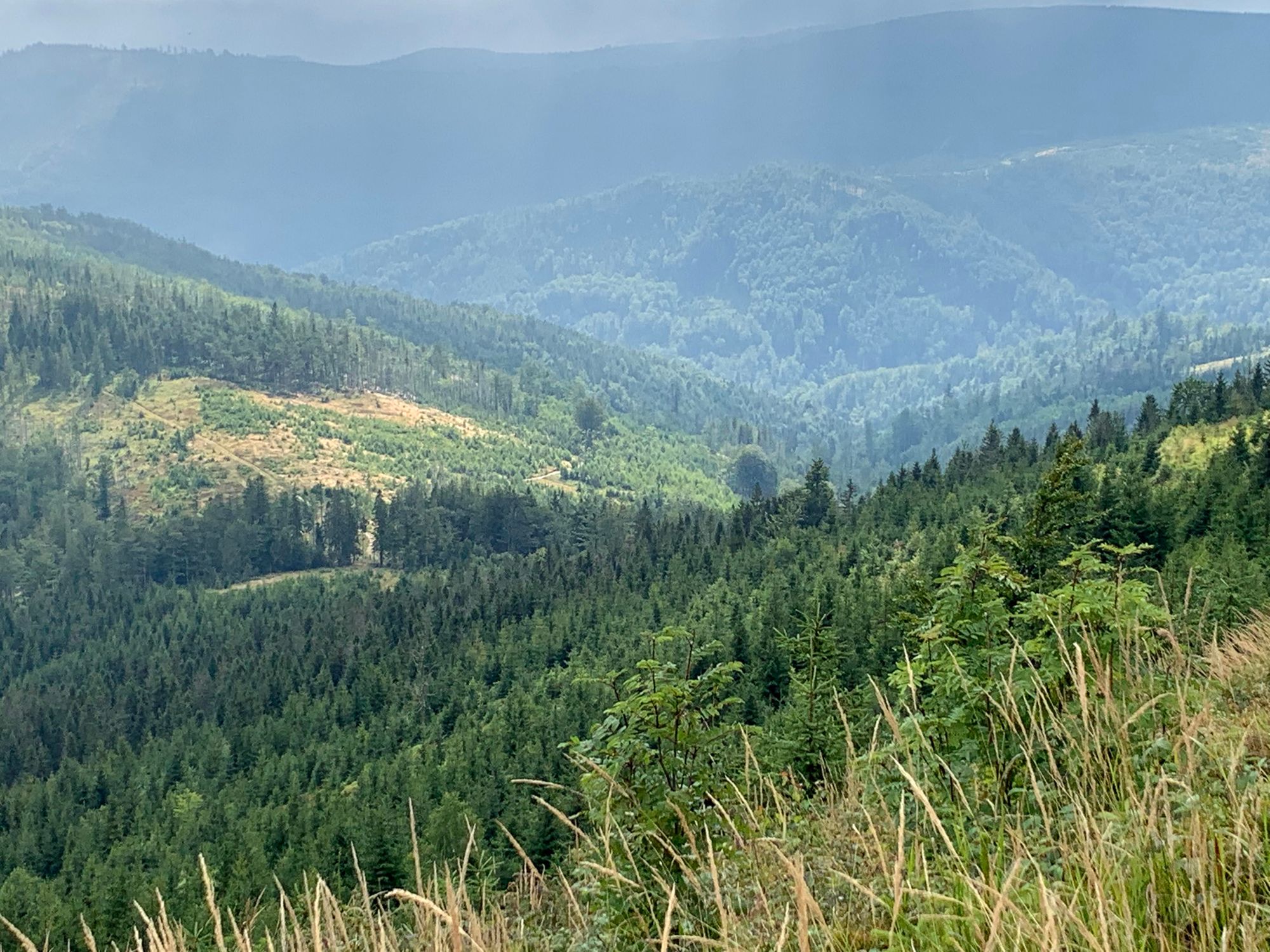 Widok spod Malinowskiej Skały