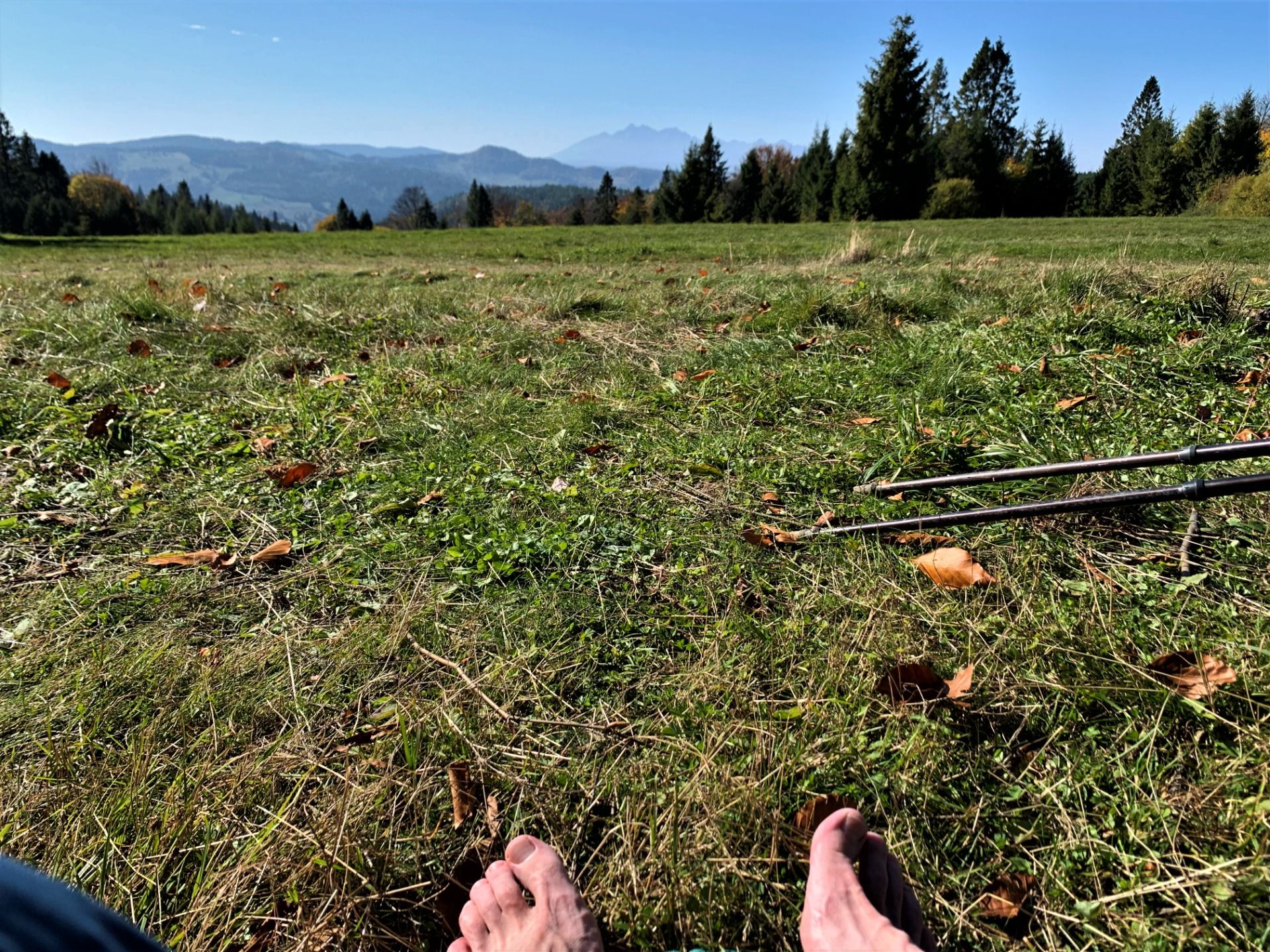 Widok na Tatry, szlak na Radziejową