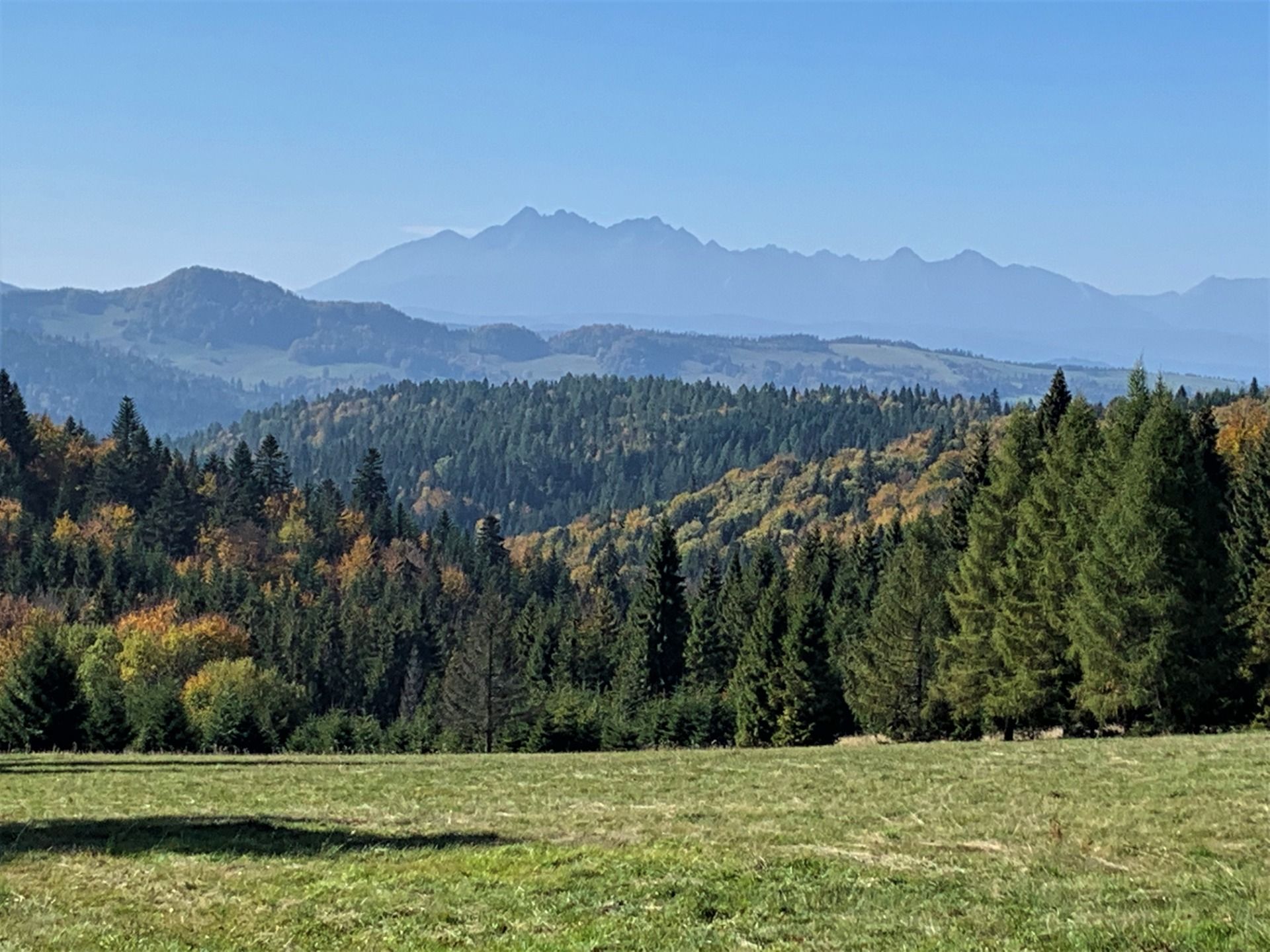 Widok na Tatry, szlak na Radziejową