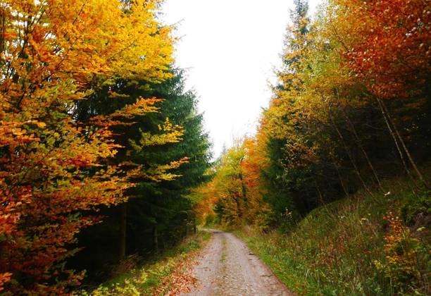Góry Sowie w kolorach jesieni. Pogoda nie może się zdecydować co ubrać i pokazuje wszystko co ma.