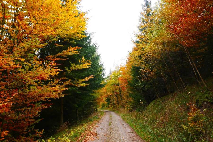 Góry Sowie w kolorach jesieni. Pogoda nie może się zdecydować co ubrać i pokazuje wszystko co ma.