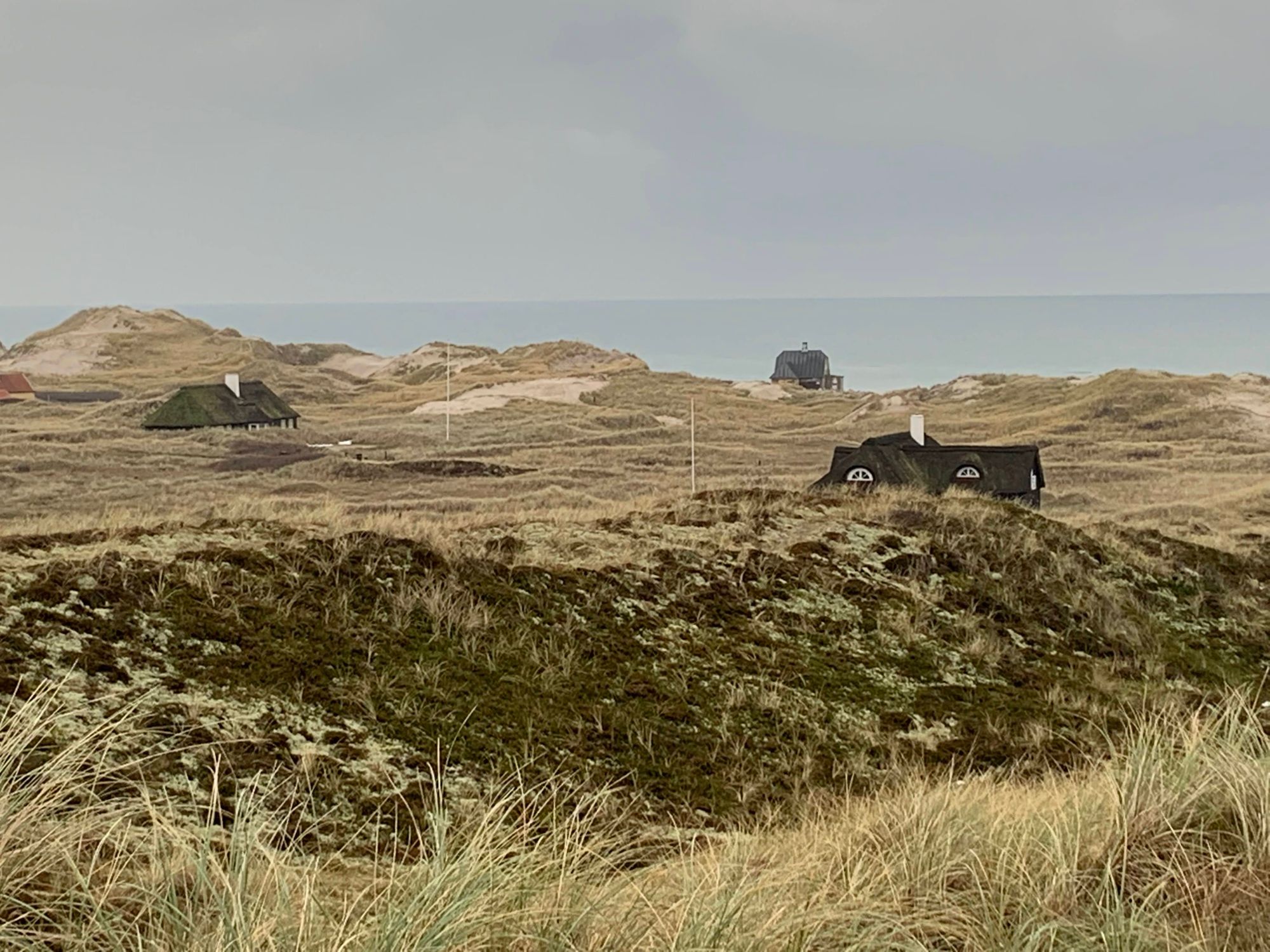 Dunes near Højen