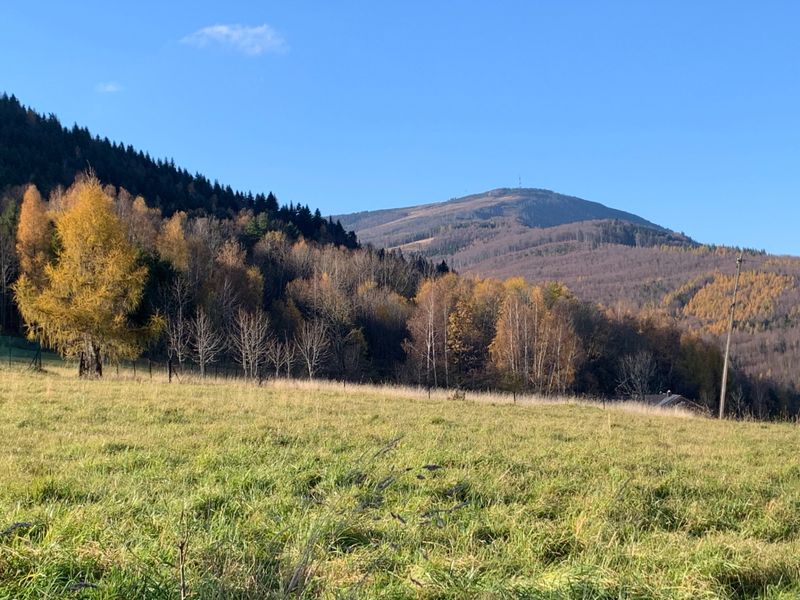Skrzyczne z Lipowej Ostre. Wbrew nazwie, podejście spokojne a w tle złotopolska jesień.