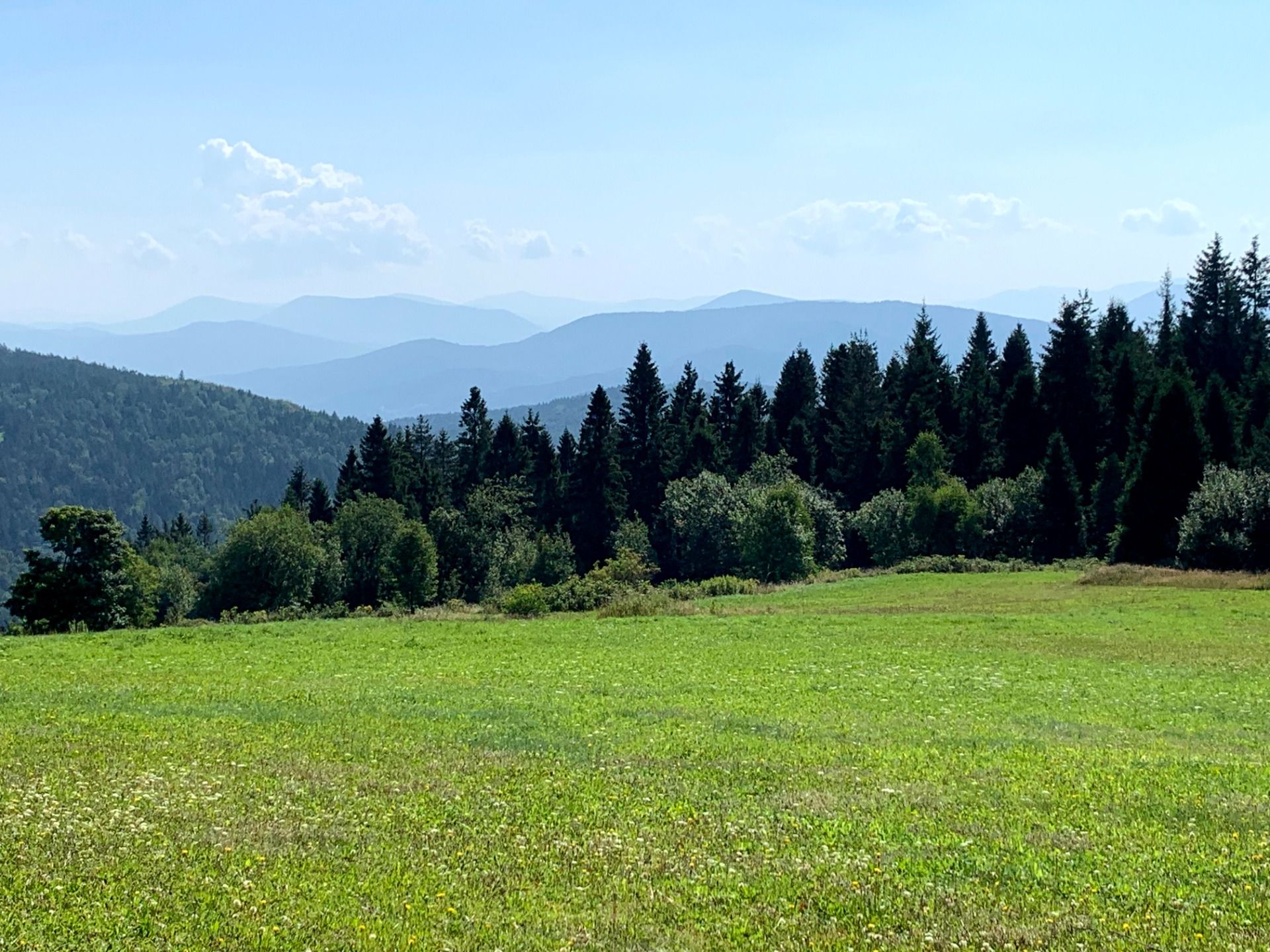 Widok z Koskowej Góry