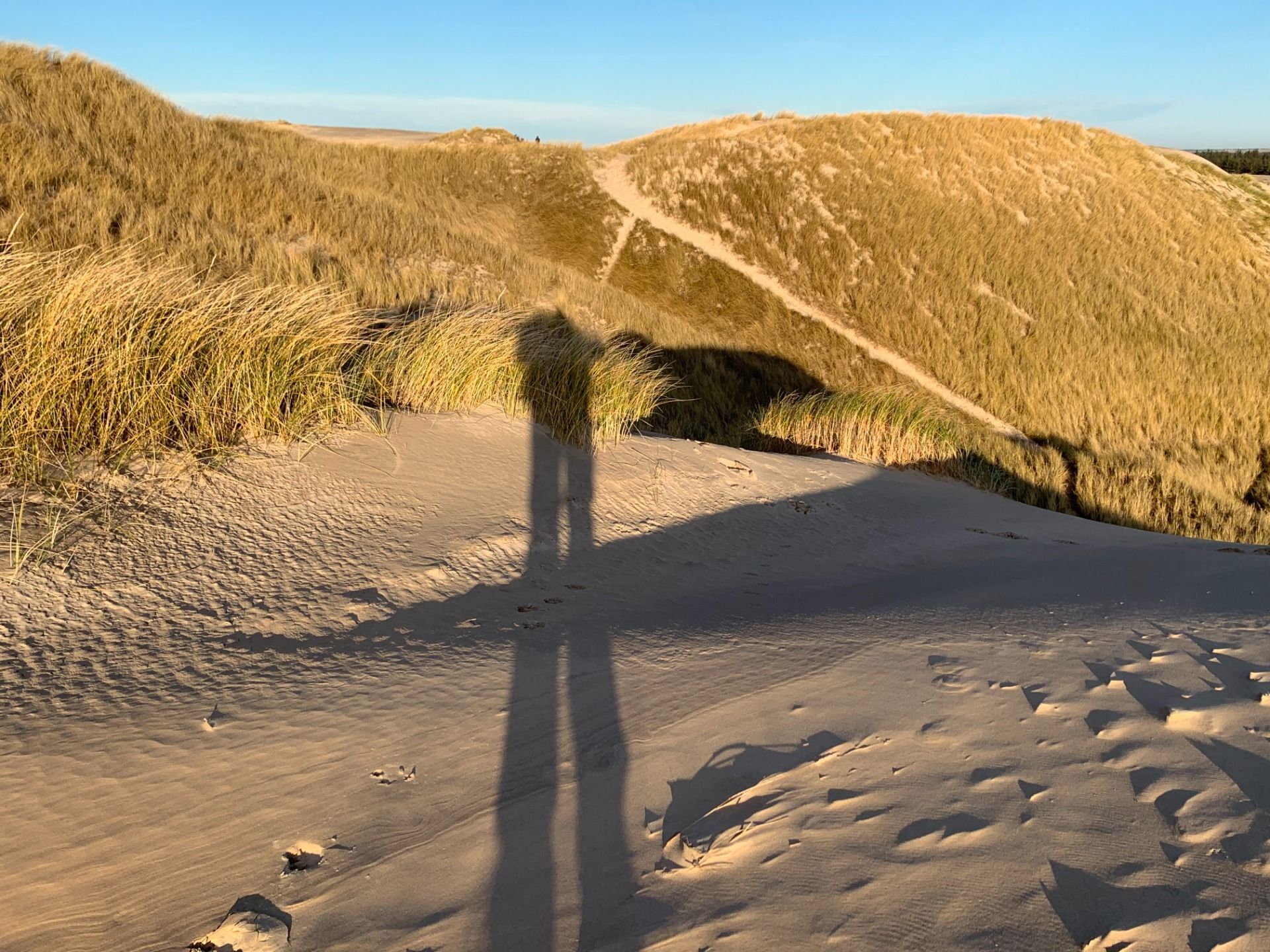 "Råbjerg Mile" Migrating Dunes & North Sea Trail. Wędrujące wydmy i szlak Morza Północnego. [EN/PL]