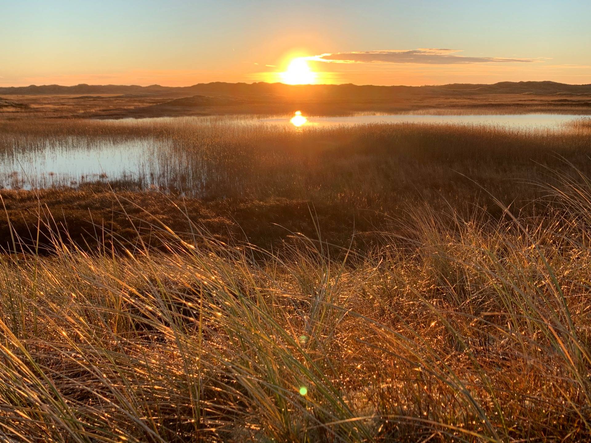 Rising sun over the dunes and surrounding wetlands