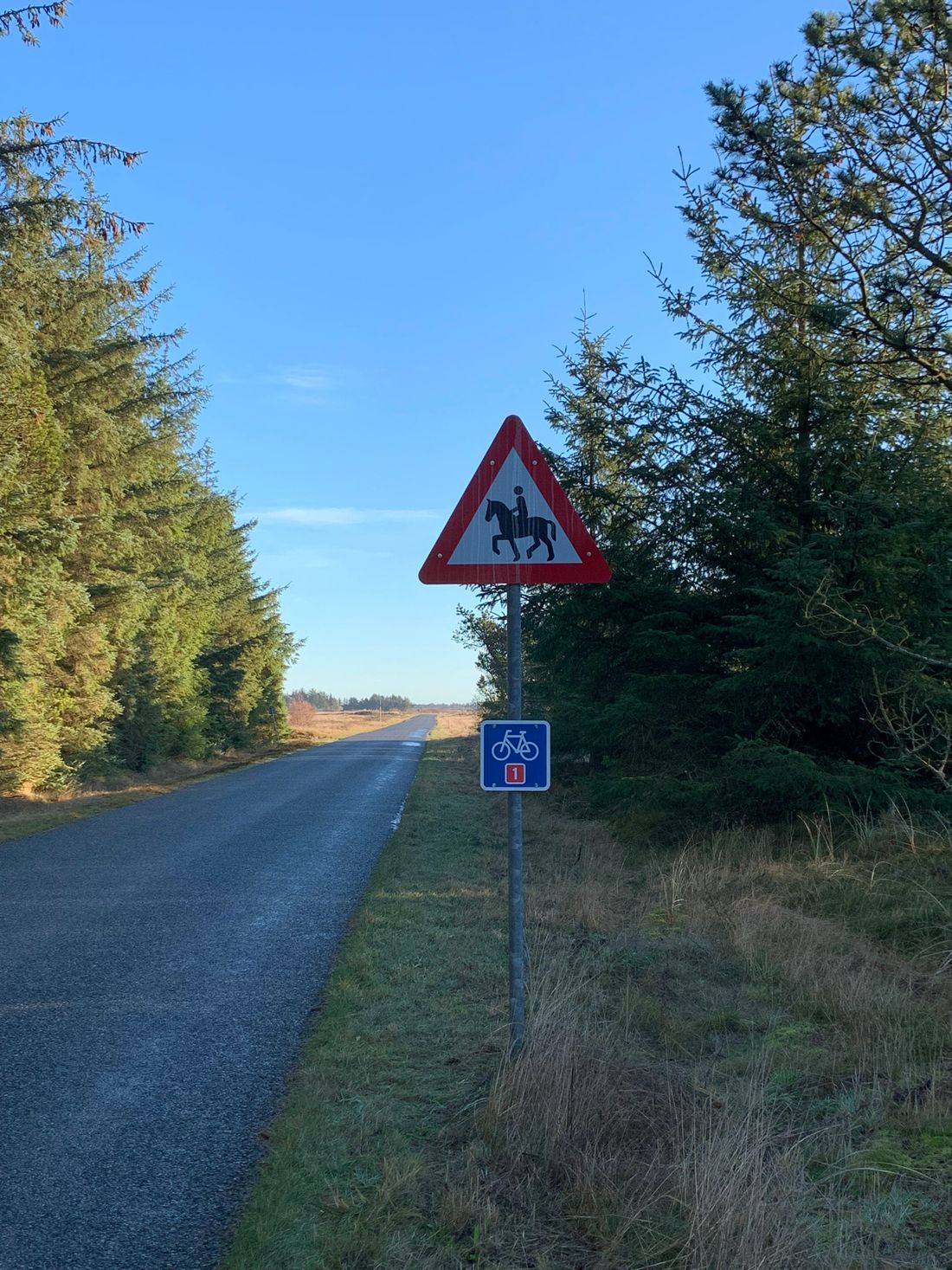 Cycling and horse riding path