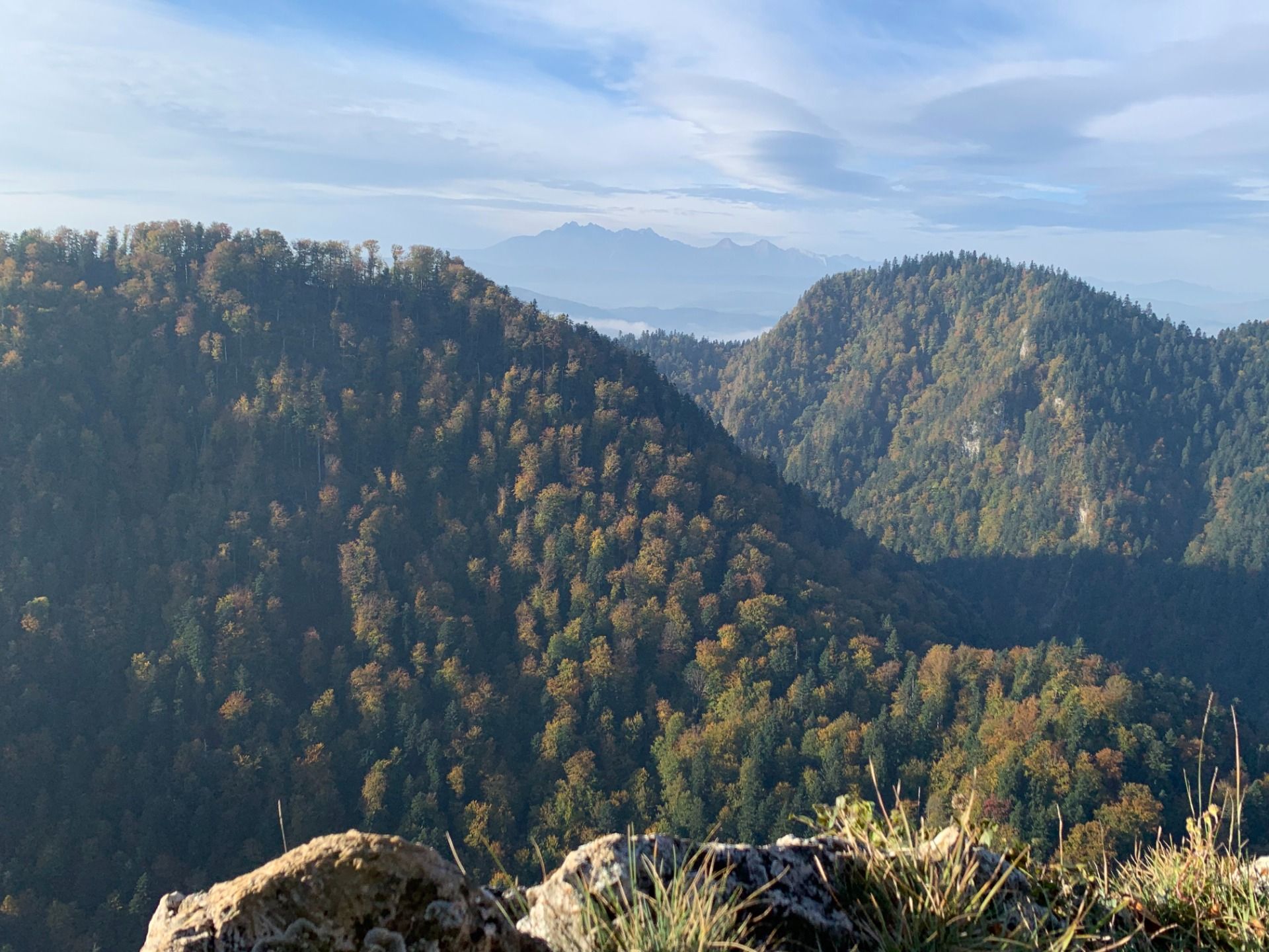 Widok z Sokolicy. W tle Tatry